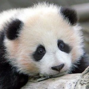 Meet your Posher, Lilu